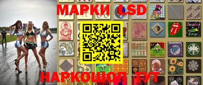 стаф Гай