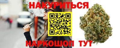 стаф Гай