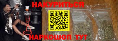 стаф Гай