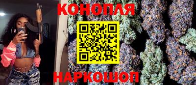 стаф Гай