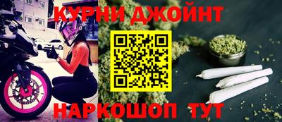 стаф Гай