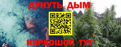 стаф Гай