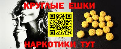 стаф Гай